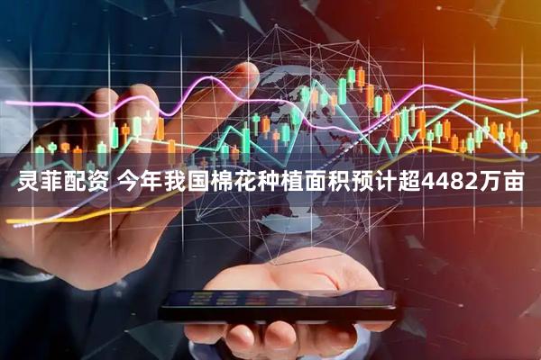 灵菲配资 今年我国棉花种植面积预计超4482万亩